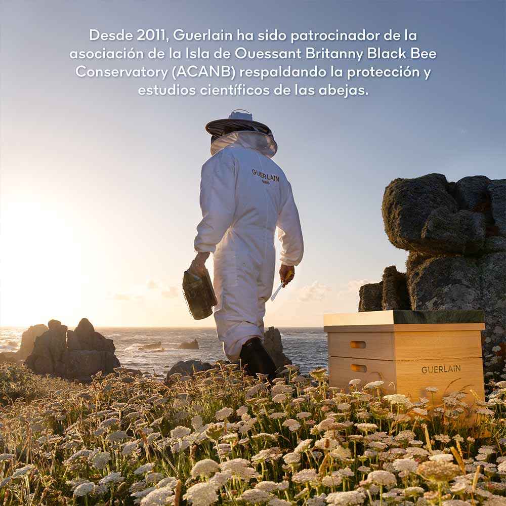 ABEILLE ROYALE SCALP & HAIR YOUTH RITUAL (SET PARA CUERO CABELLUDO Y CABELLO)